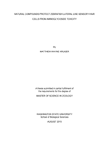 Natural compounds protect Zebrafish lateral line sensory hair cells from Aminoglycoside toxicity