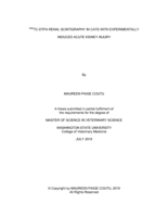 99mTc-DTPA renal scintigraphy in cats with experimentally induced acute kidney injury