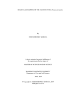 Molecular mapping of the V locus in pea (Pisum sativum L.)