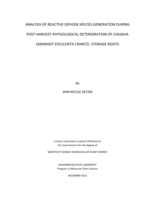 Analysis of reactive oxygen species generation during post-harvest physiological deterioration of cassava (Manihot esculenta crantz) storage roots