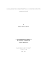Labor and delivery nurse's perceptions on use of the Coping with labor algorithm