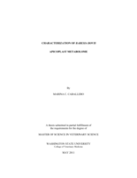 Characterization of Babesia bovis apicoplast metabolome