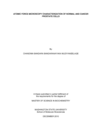 Atomic force microscopy characterization of normal and cancer prostate cells