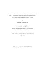 An analysis of receptor tyrosine kinase signaling in cancer cells: identifying signaling network architectures in a triple negative breast cancer model
