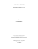 Smorf gene family in the hemoparasite Babesia bovis