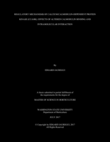 Regulatory mechanisms of calcium/calmodulin-dependent protein kinase (CCAMK): effects of altered calmodulin binding and intramolecular interaction
