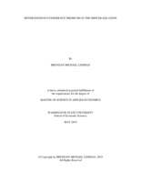 Heterogenous experience premiums in the Mincer equation