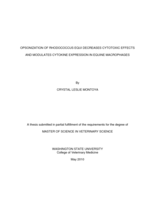 Opsonization of Rhodococcus equi decreases cytotoxic effects and modulates cytokine expression in equine macrophages