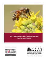 Pollinators in canola in the Inland Pacific Northwest