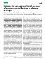 Epigenetic transgenerational actions of environmental factors in disease etiology