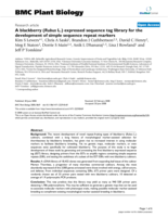A blackberry (Rubus L.) expressed sequence tag library for the development of simple sequence repeat markers