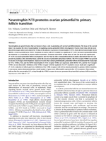 Neurotrophin NT3 promotes ovarian primordial to primary follicle transition
