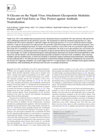 N-Glycans on the Nipah virus attachment glycoprotein modulate fusion and viral entry as they protect against antibody neutralization