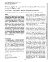 SRY Directly Regulates the Neurotrophin 3 Promoter During Male Sex Determination and Testis Development in Rats