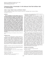Chemotactic role of neurotropin 3 in the embryonic testis that facilitates male sex determination