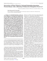 Interaction of Plant Chimeric Calcium/Calmodulin-dependent Protein Kinase with a Homolog of Eukaryotic Elongation Factor-1α