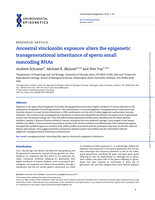 Ancestral vinclozolin exposure alters the epigenetic transgenerational inheritance of sperm small noncoding RNAs