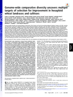 Genome-wide comparative diversity uncovers multiple targets of selection for improvement in hexaploid wheat landraces and cultivars
