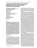 A Divergent Cellular Role for the FUSED Kinase Family in the Plant-Specific Cytokinetic Phragmoplast