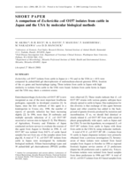 A comparison of Escherichia coli O157 isolates from cattle in Japan and the USA by molecular biological methods