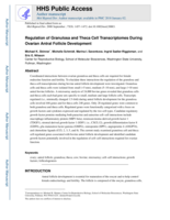 Regulation of granulosa and theca cell transcriptomes during ovarian antral follicle development