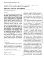 Inhibition of platelet-derived growth factor actions in the embryonic testis influences normal cord development and morphology