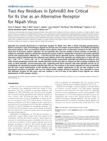 Two key residues in ephrinB3 are critical for its use as an alternative receptor for Nipah virus