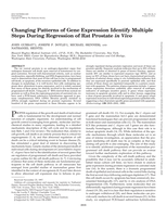 Changing Patterns of Gene Expression Identify Multiple Steps During Regression of Rat Prostate in Vivo