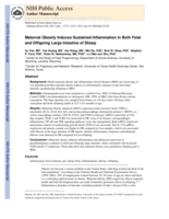 Maternal Obesity Induces Sustained Inflammation in Both Fetal and Offspring Large Intestine of Sheep