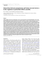 Interactions between progesterone and tumor necrosis factor-α in the regulation of primordial follicle assembly