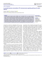 A crosstalk between extracellular ATP and jasmonate signaling pathways for plant defense