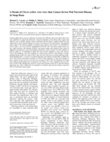 A Strain of Clover yellow vein virus that Causes Severe Pod Necrosis Disease in Snap Bean