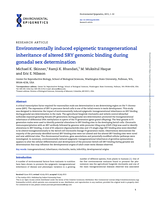 Environmentally induced epigenetic transgenerational inheritance of altered SRY genomic binding during gonadal sex determination