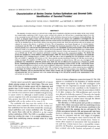Characterization of bovine ovarian surface epithelium and stromal cells : Identification of secreted proteins