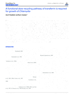 A Functional Slow Recycling Pathway of Transferrin is Required for Growth of Chlamydia