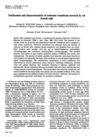 Purification and characterization of testicular transferrin secreted by rat Sertoli cells