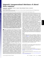 Epigenetic transgenerational inheritance of altered stress responses