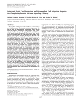 Embryonic testis cord formation and mesonephric cell migration requires the phosphotidylinositol 3-kinase signaling pathway
