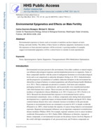 Environmental Epigenetics and Effects on Male Fertility