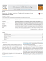 Endocrine disruptor induction of epigenetic transgenerational inheritance of disease