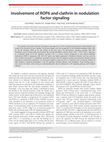 Involvement of ROP6 and clathrin in nodulation factor signaling