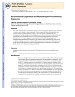 Environmental epigenetics and phytoestrogen/phytochemical exposures