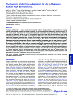 Mechanisms Underlying Adaptation to Life in Hydrogen Sulfide-Rich Environments