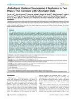 Arabidopsis thaliana chromosome 4 replicates in two phases that correlate with chromatin state