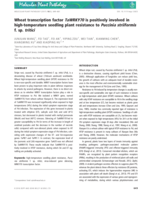 Wheat transcription factor TaWRKY70 is positively involved in high‐temperature seedling plant resistance to Puccinia striiformis f. sp. tritici