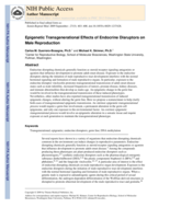 Epigenetic transgenerational effects of endocrine disruptors on male reproduction