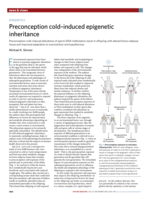 Preconception cold-induced epigenetic inheritance