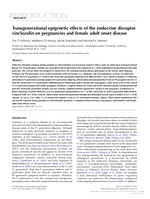 Transgenerational epigenetic effects of the endocrine disruptor vinclozolin on pregnancies and female adult onset disease