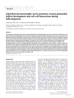 Glial-derived neurotrophic factor promotes ovarian primordial follicle development and cell-cell interactions during folliculogenesis