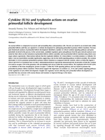 Cytokine (IL16) and tyrphostin actions on ovarian primordial follicle development